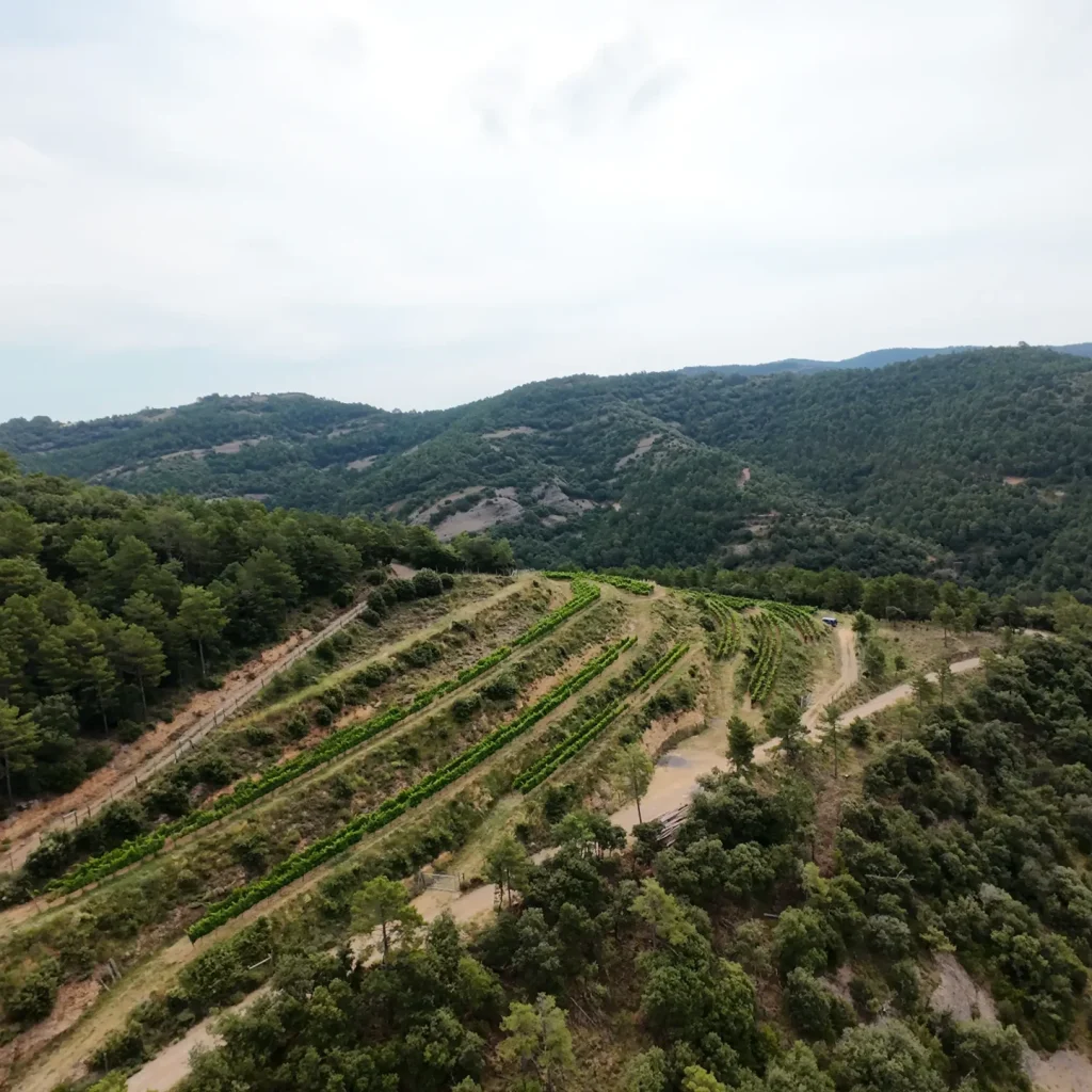 DJI_20250705110649_0008_D