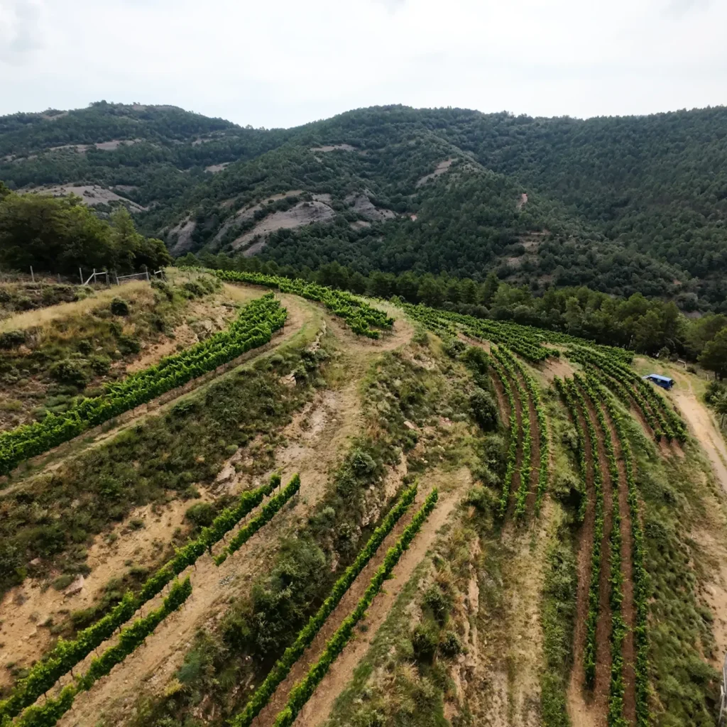 DJI_20250705111602_0012_D