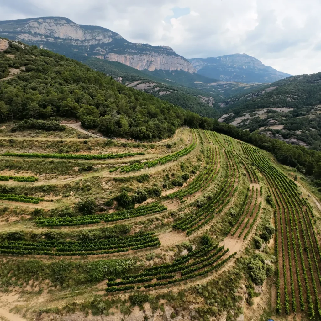 DJI_20250705111627_0014_D