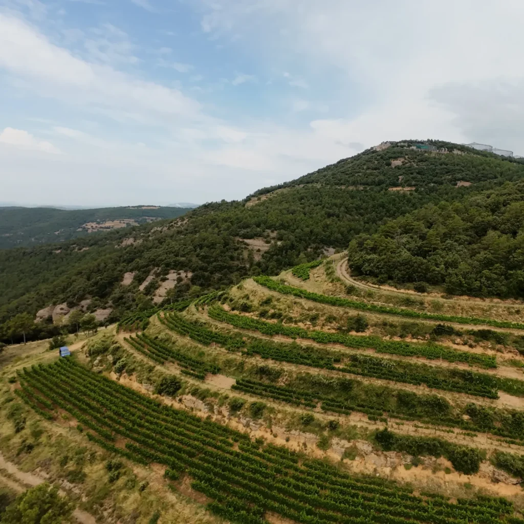 DJI_20250705111659_0016_D