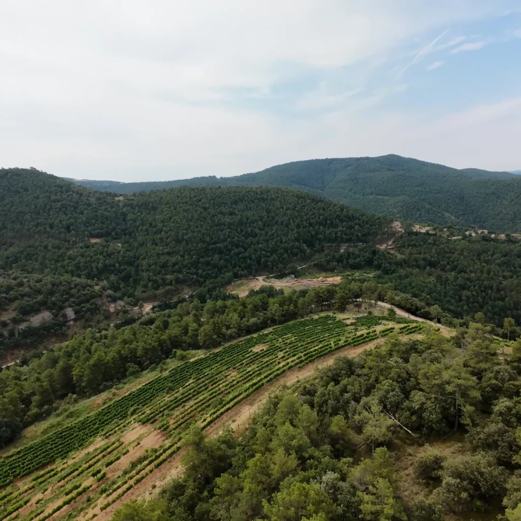 DJI_20250705111738_0018_D