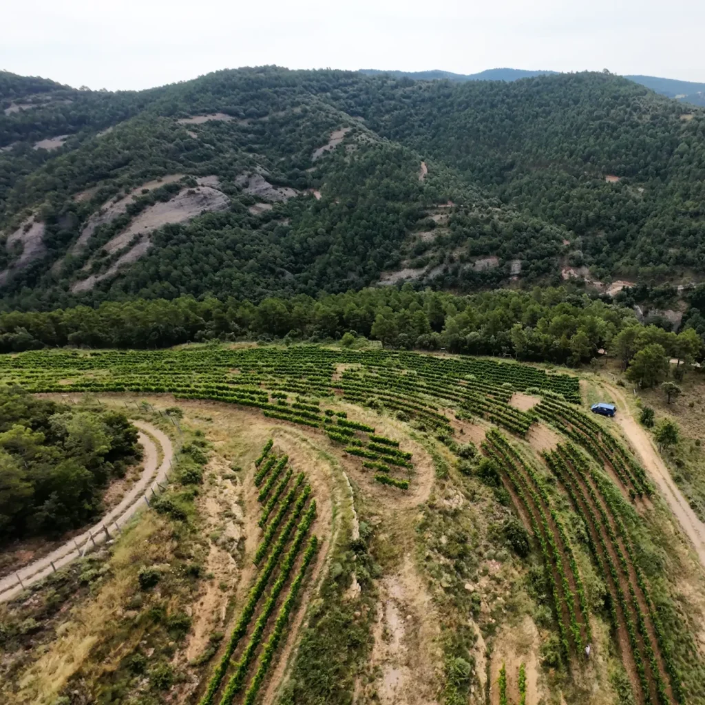 DJI_20250705111836_0021_D