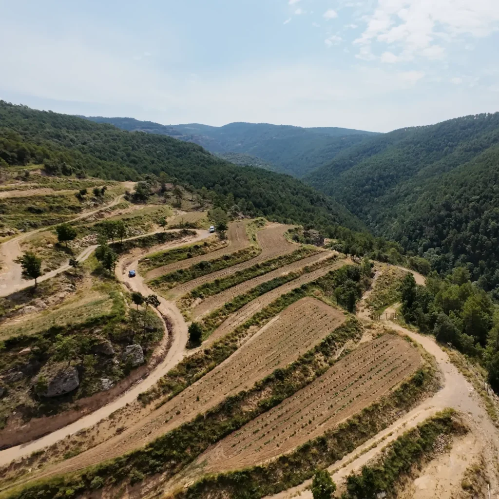 DJI_20250705115207_0029_D