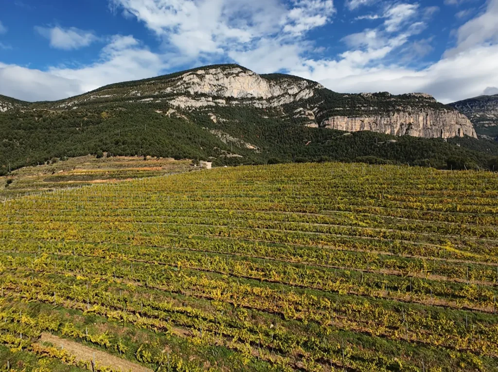 VideoCapture_20250329-120511